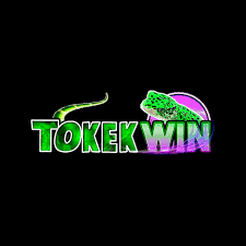 TOKEKWIN - Aplikasi Edit Video Reels Terbaik untuk Kreativitas Anda